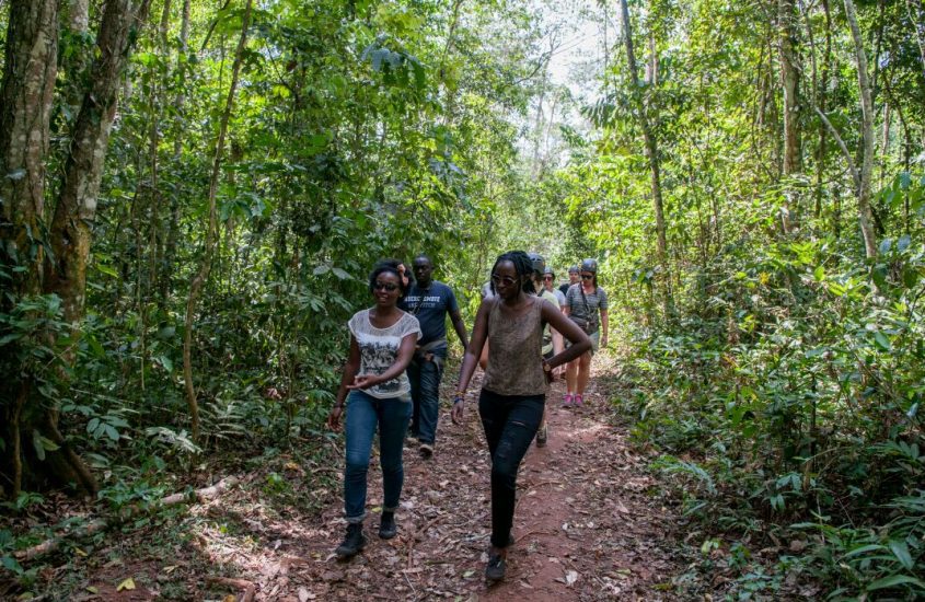 A Night In Mabira Forest